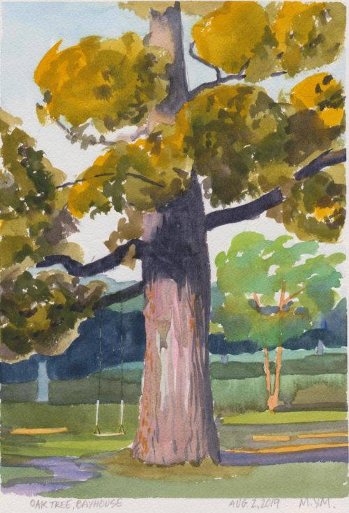 WoL Oringal watercolour of an oak tree with a swing Prince Edward County