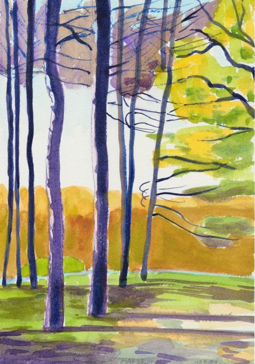 Grove of pine trees original small impressionist watercolour painting for sale