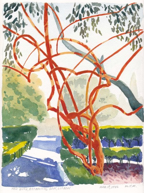 Small watercolour painting of the tangled branches ofa bare-leafed, red-branched bush