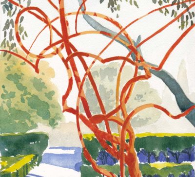 Small original watercolour painting of a tangled red-branched bush in winter in manicured garden.