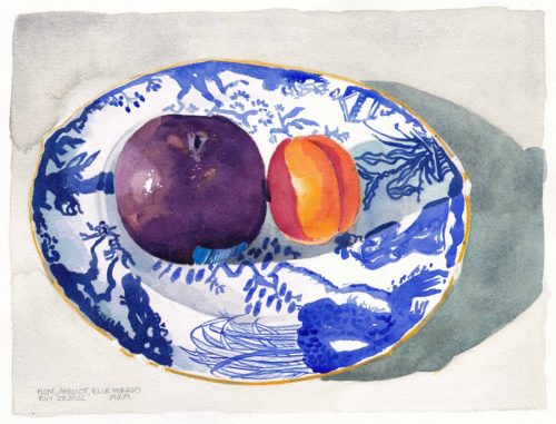 Original watercolour painting of a plum and apricot sitting in afternoon light on a blue china plate