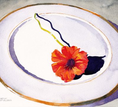 Watercolour painting of an orange nasturtium blossom resting on a gold-rimmed white limoges china plate