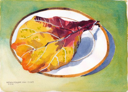 Small original watercolour painting of a large fiddle leaf fig leaf that has faded to bright yellow, orange and red sitting on a white gold-rimmed china plate