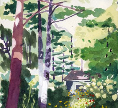 small original watercolour painting of a grove of pine trees catching the morning light with a garden of red, yellow and white blooms catching the sunlight, titled Septic bed garden.