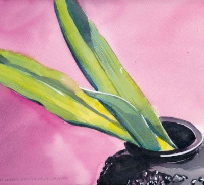 Small original watercolour painting of three green amaryllis leaves against a rich pink background in a black vase.